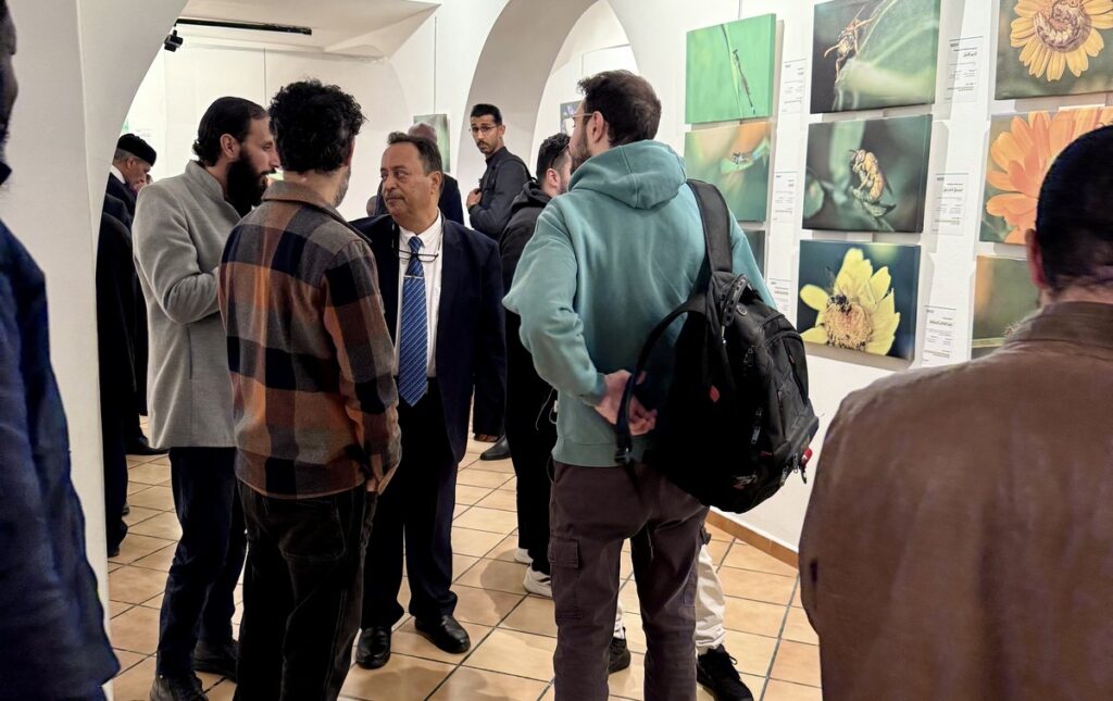 المعرض الشخصي للدكتور الطاهر الثابت 59 IMG E3790