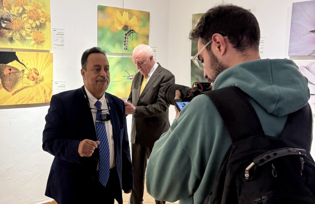 المعرض الشخصي للدكتور الطاهر الثابت 61 IMG E3803